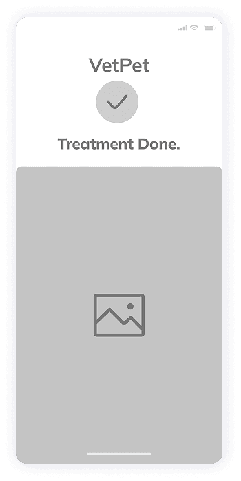 VetPet app treatment completion screen wireframe