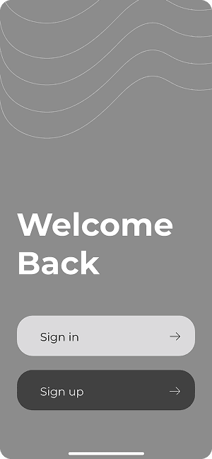 Wireframe of MoneyPay app login screen