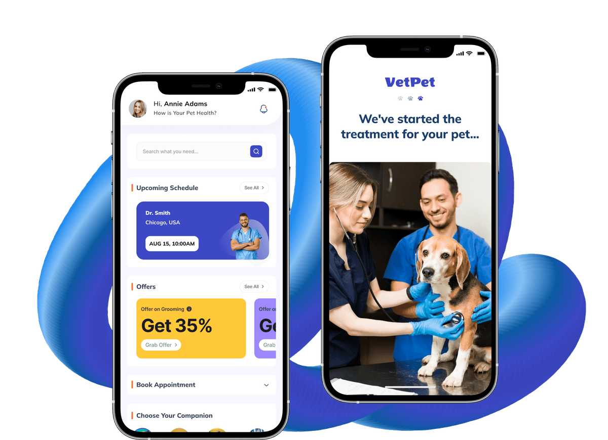 Online vet appointment scheduler design
