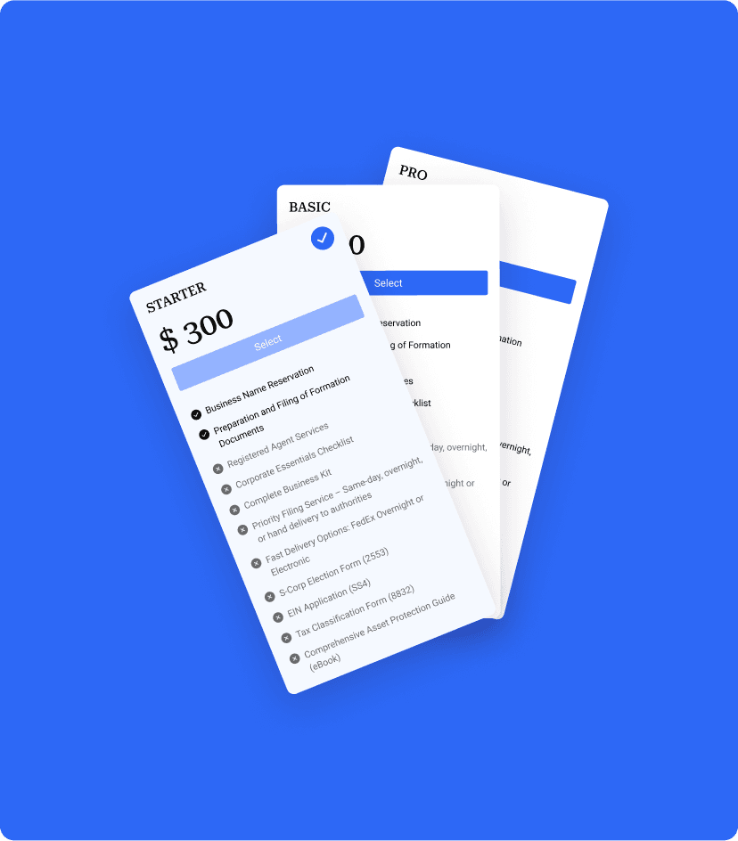 Asset Protection subscription plan feature