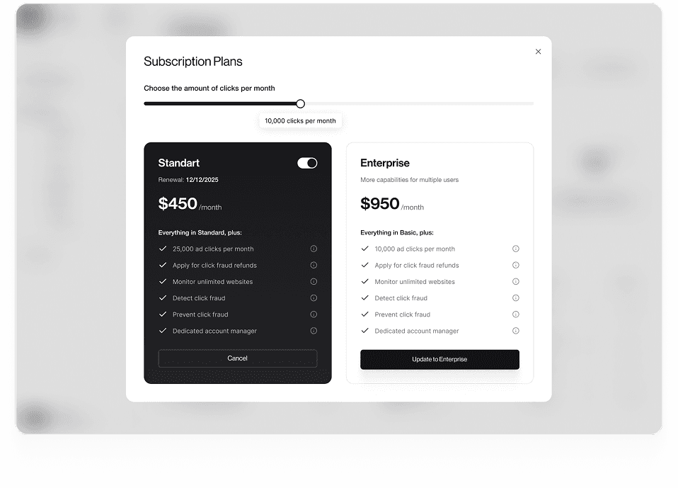 Wireframe of ProTraffic subscription plan selection