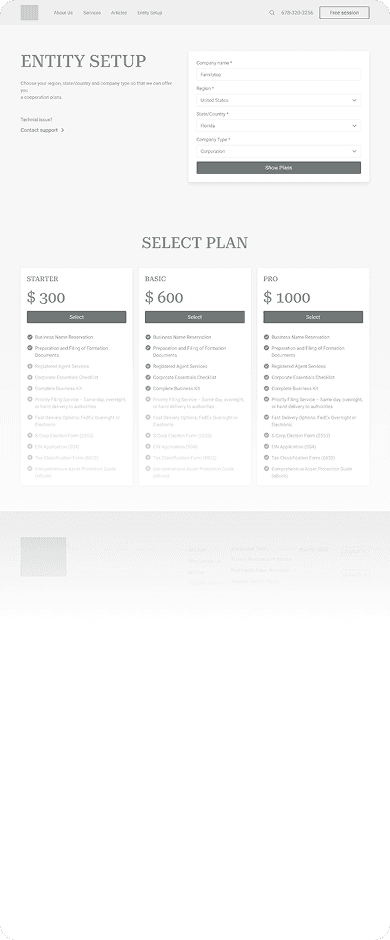 Wireframe of Asset Protection entity setup page