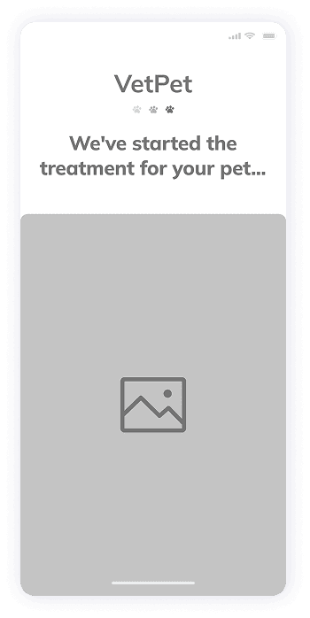 VetPet app treatment initiation screen wireframe