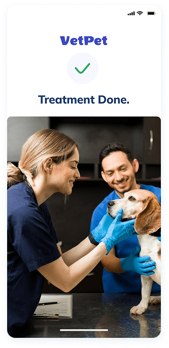 UI design of the VetPet app-s treatment completion screen