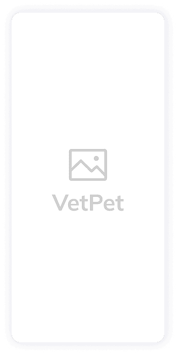 VetPet app main screen wireframe
