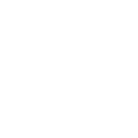 CSSDA Award 2025 badge