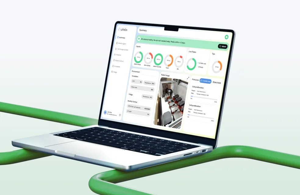 AI Integration Services